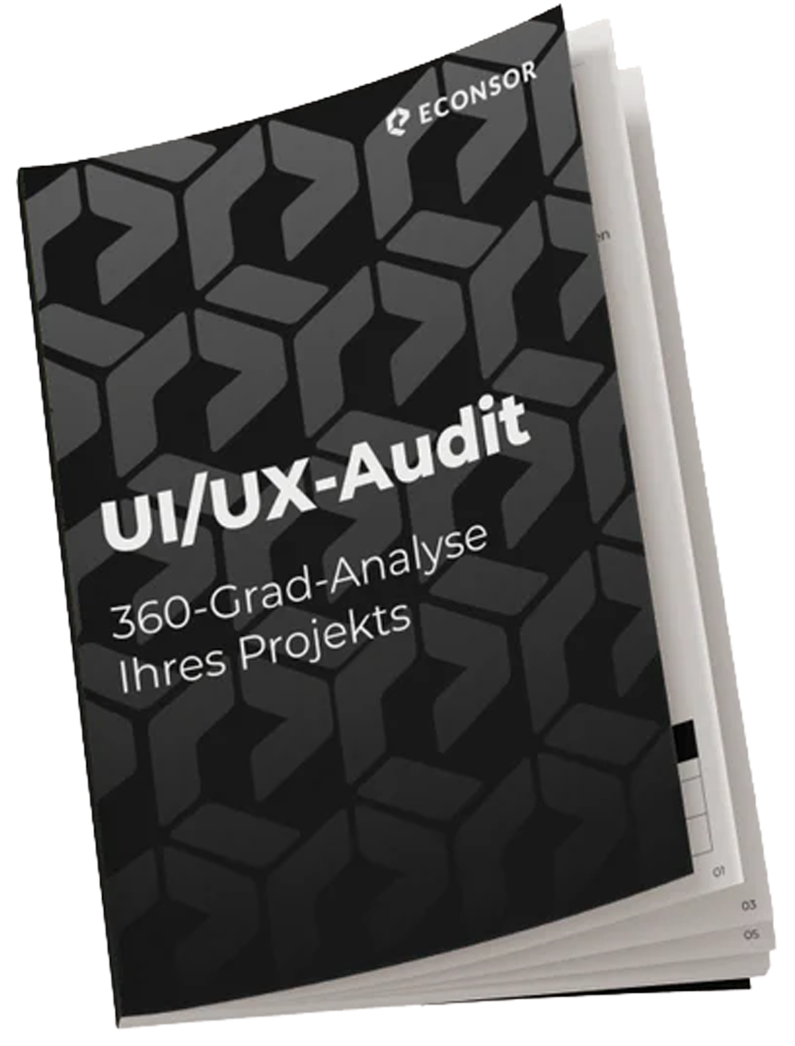 Product Audit UI/UX Eine Produktfotografie des Audits für UI/UX.